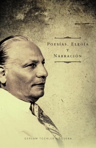 Imagen de Poes As, Eleg A Y Narraci N - Gersam TNoguera