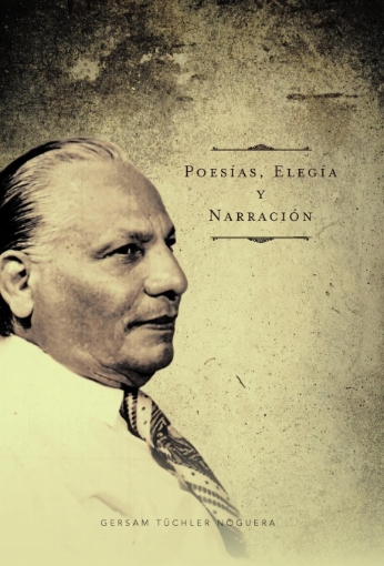 Imagen de Poes As, Eleg A Y Narraci N - Gersam TNoguera