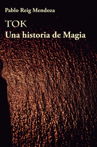 Imagen de Tok - Pablo Reig Mendoza