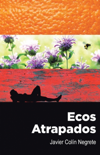 Imagen de Ecos atrapados - Javier Colin Negrete
