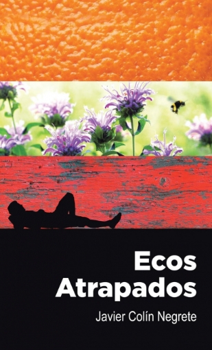 Imagen de Ecos atrapados - Javier Colin Negrete