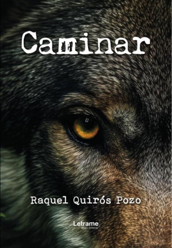 Imagen de Caminar - Raquel  Quirós Pozo
