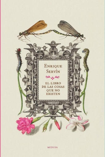 Imagen de El libro de las cosas que no existen - Enrique Servín