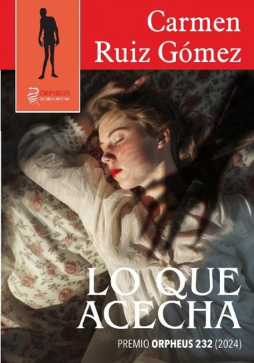 Imagen de Lo que acecha - Carmen Ruiz Gómez