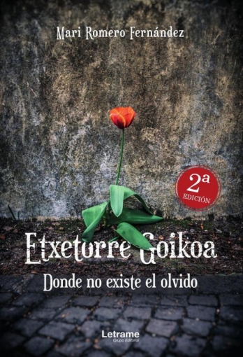 Imagen de Etxetorre Goikoa. Donde no existe el olvido. 2ª Edición - Mari Romero Fernández