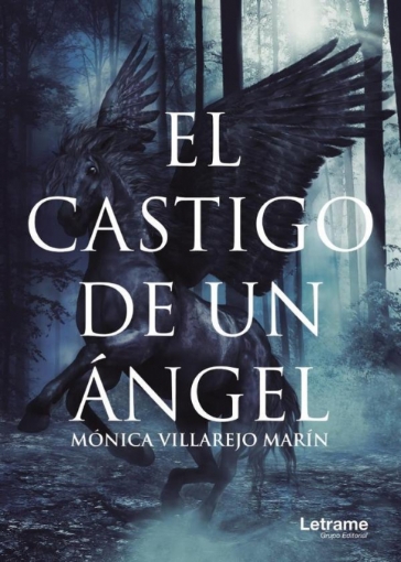 Imagen de El castigo de un ángel - Mónica Villarejo Marín