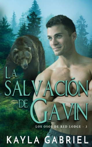 Imagen de La salvación de Gavin - Kayla Gabriel