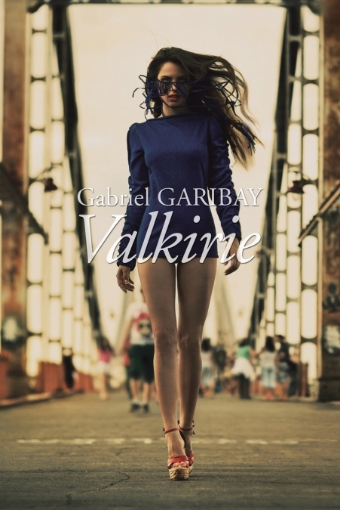 Imagen de Valkirie - Gabriel Garibay