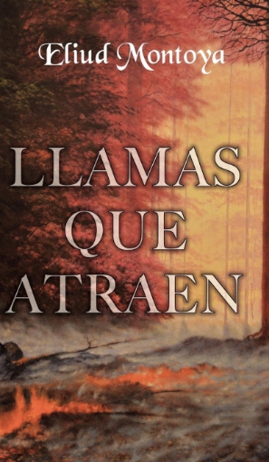 Imagen de Llamas que atraen - Eliud A Montoya