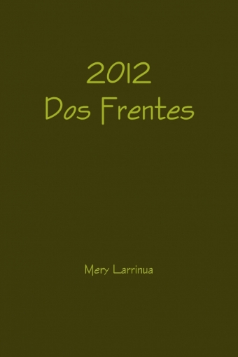 Imagen de 2012 Dos Frentes - Mery Larrinua